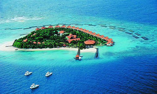 泰姬珊瑚岛Taj Coral Reef Resort